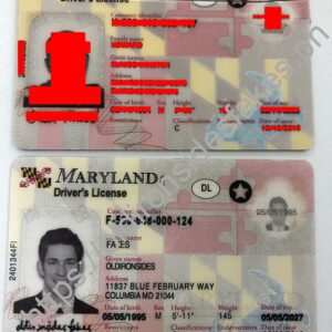 Maryland Driver License (New MD)